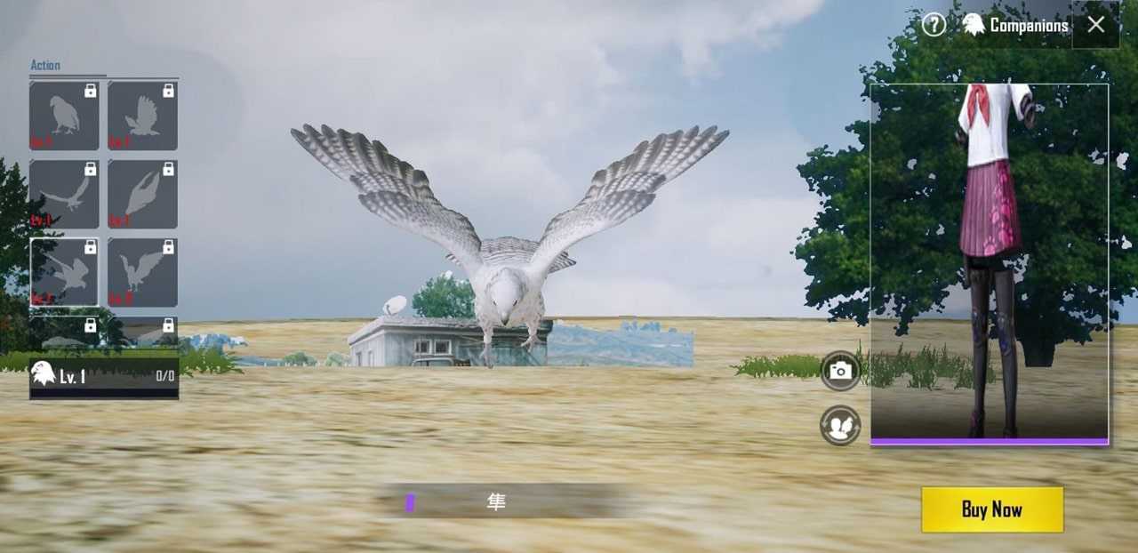 PUBG Yoldaş, Şahin Yerleri ve nerede bulunur, nasıl alınır