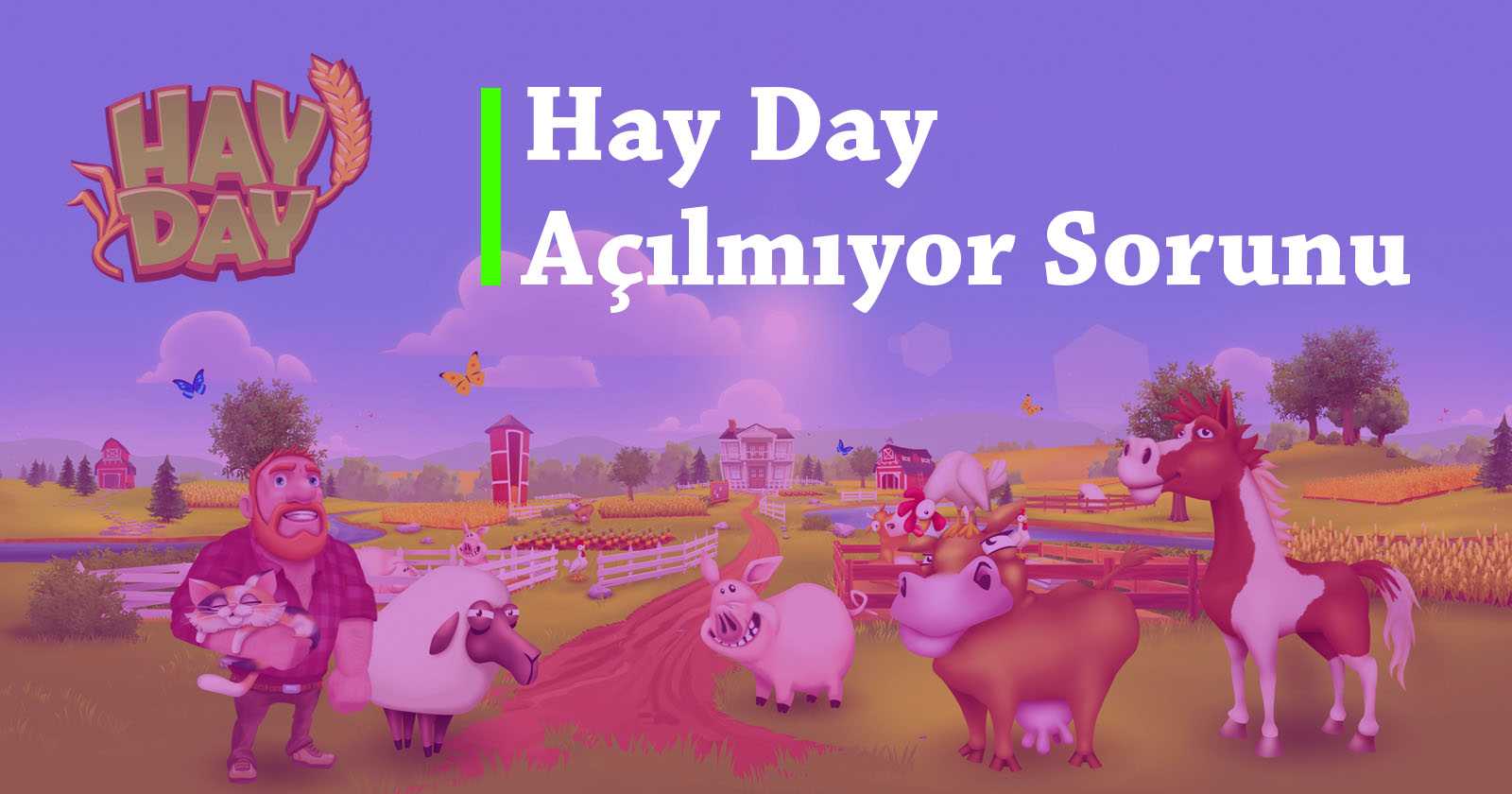 Hay Day Oyunu Açılmıyor
