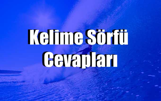 Kelime Sörfü Cevapları Tamamı
