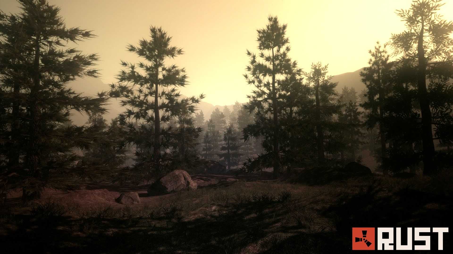 Rust Sistem Gereksinimleri (2020) Kaç GB?