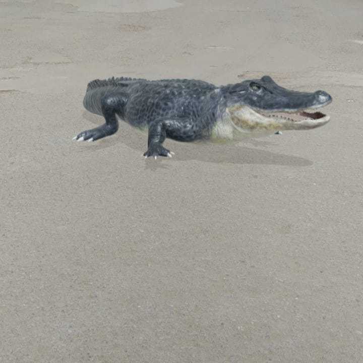 Aligator Timsah View in 3D