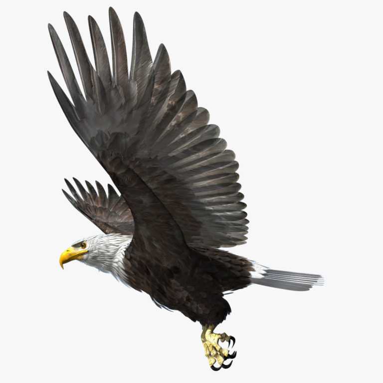 Kartal View in 3D (Google Kamera) Siber Star