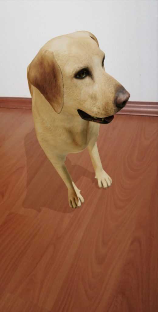 Köpek Viev in 3D