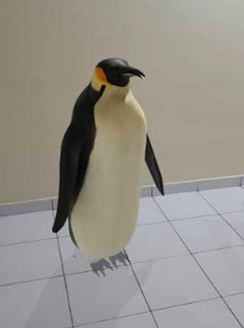 Penguen View in 3D