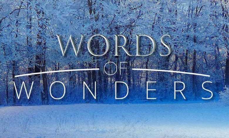 Words of Wonders (WOW) Cevapları Türkçe 2020