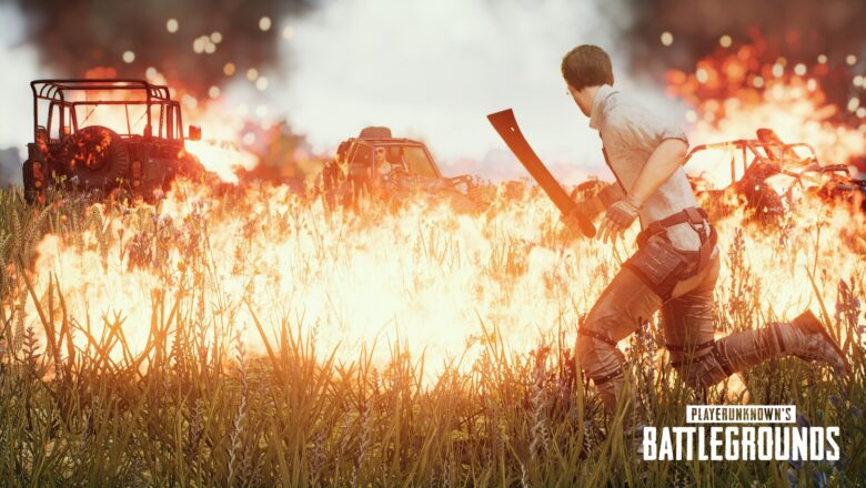 PUBG Dış Sağlayıcıdan Doğrulama Yapılamadı Hatası (2020)