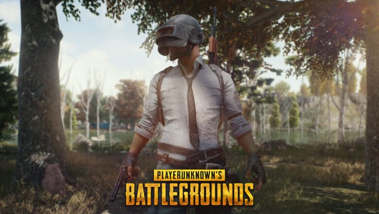 PUBG Mobile E-Pin Nedir? Nasıl Girilir?