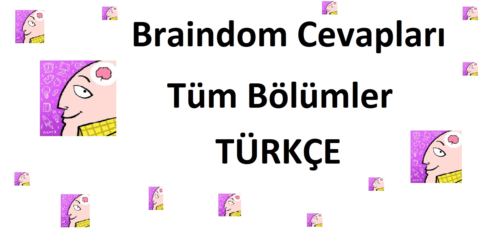 Braindom Cevapları