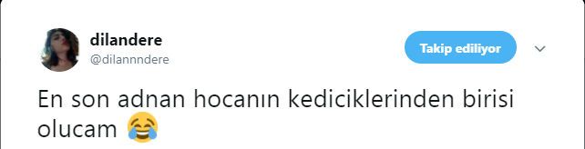 Dilan Dere Twitter Hesabı