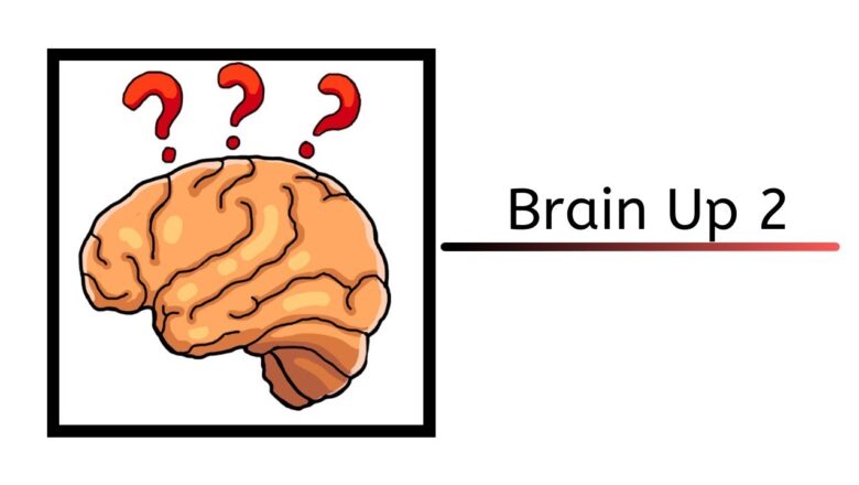 Brain Up Cevapları: Türkçe (Tüm Seviyeler)
