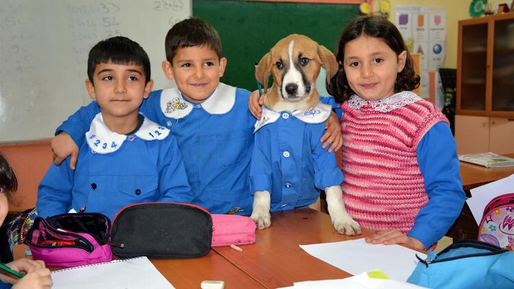 Öğretmenim Bugün Canlı Ders Var mı? İndir