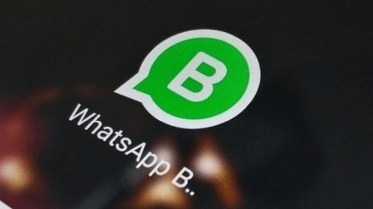 WhatsApp İşletme Hesabı Nedir? Ne İşe Yarar?