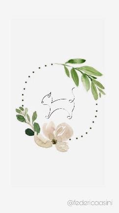 İnstagram Hikaye Kapağı Kedi