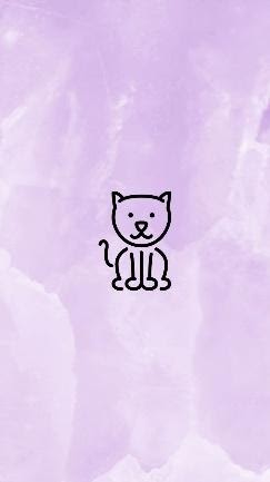 İnstagram Hikaye Kapağı Kedi