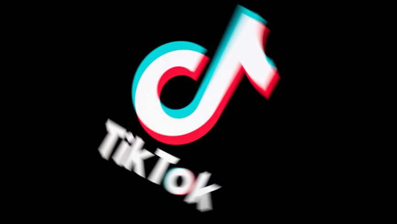 TikTok Counter İncelemesi