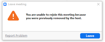 You are unable to rejoin this meeting because you were previously removed by the host Ne Demek, Neden Olur? 