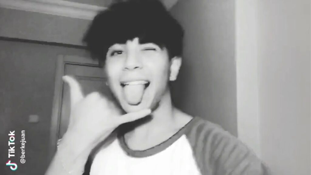 Berkejuan TikTok Takipçi Sayısı (Counter) Hesap Analizi 