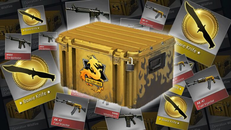 CS GO Hangi Kasa Açılmalı? (2021)