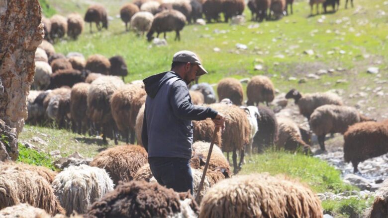 Çoban Erdal Karadağ İnstagram Hesabı