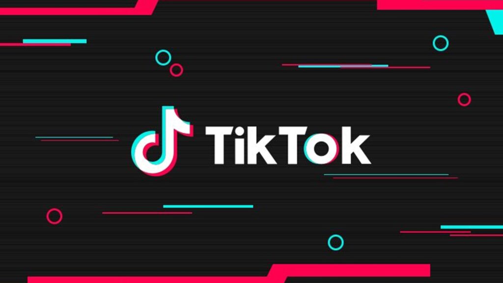TikTok Logosuz Video İndirme 