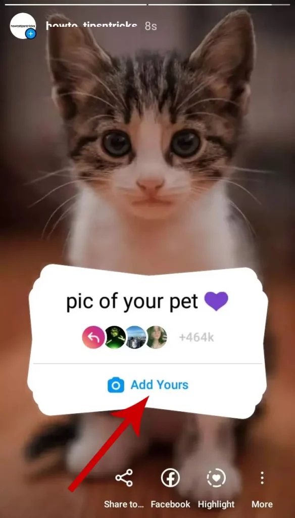 3 İnstagram "Pic Of Your Pet" Nasıl Kullanılır?, Fotoğraf Nasıl Eklenir?