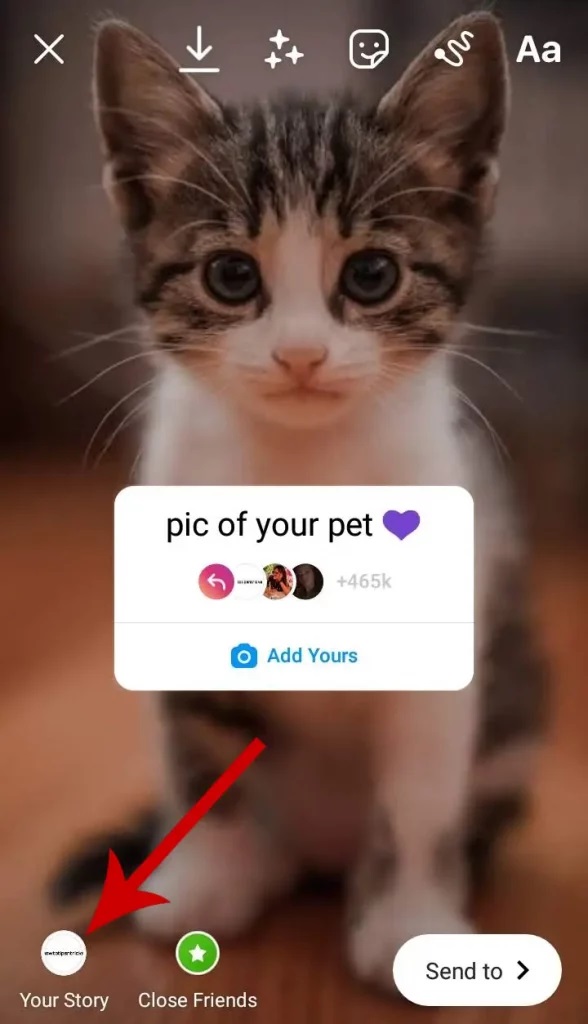 4 İnstagram "Pic Of Your Pet" Nasıl Kullanılır?, Fotoğraf Nasıl Eklenir?