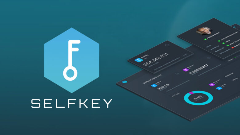 Selfkey Metaverse Coin Yorumları ve Geleceği