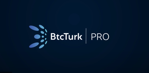 BTCTURK Pro Hata Kodu 503 Nedir? 