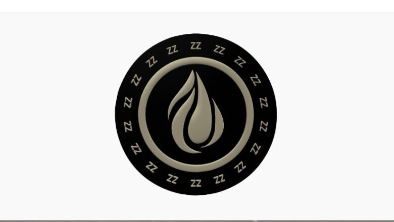 ZamZam Coin Yorum ve Geleceği (Nasıl Alınır?)