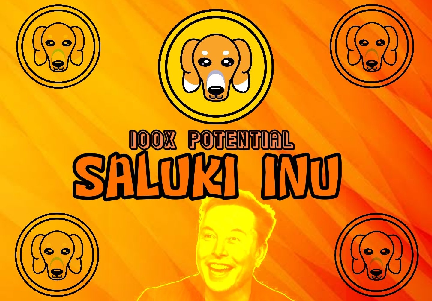 Saluki İNU Coin Yorumları ve Geleceği (2022)