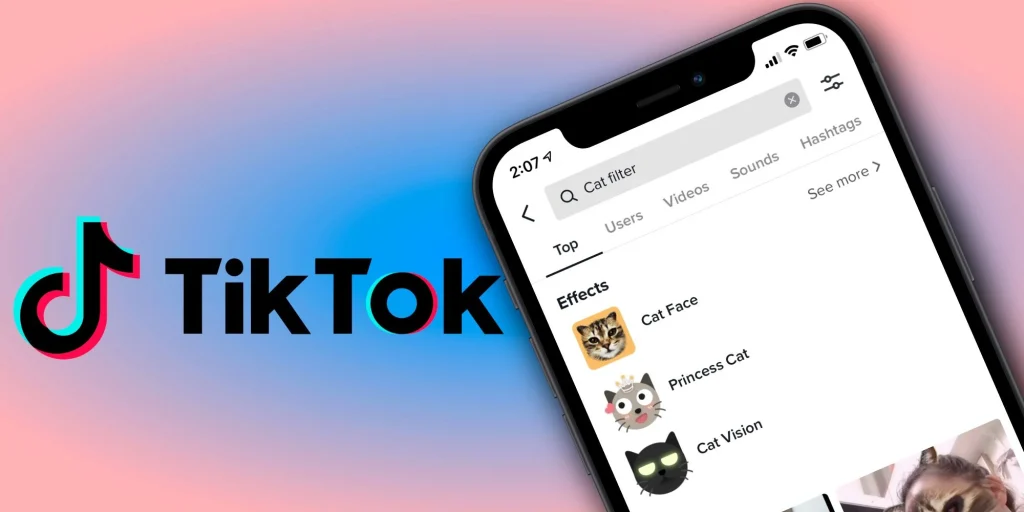 TikTok Profilime Kim Baktı?