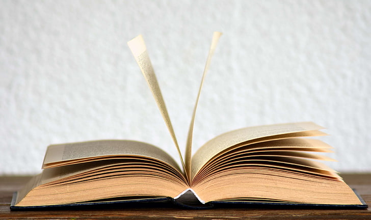 TDK Atasözleri ve Deyimler Sözlüğü PDF İndir (2022)