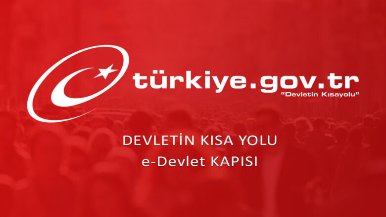 E Devlet Sosyal Ekonomik Destek Başvurusu (2022)