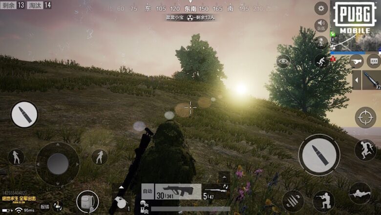 PUBG Mobile Timi APK İndir (2022)