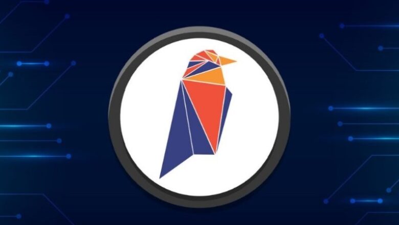 RVN Coin Yorumları – Nedir? (2022)