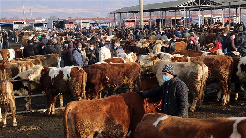 Hayvan Pazarları Neden Kapandı? 2023