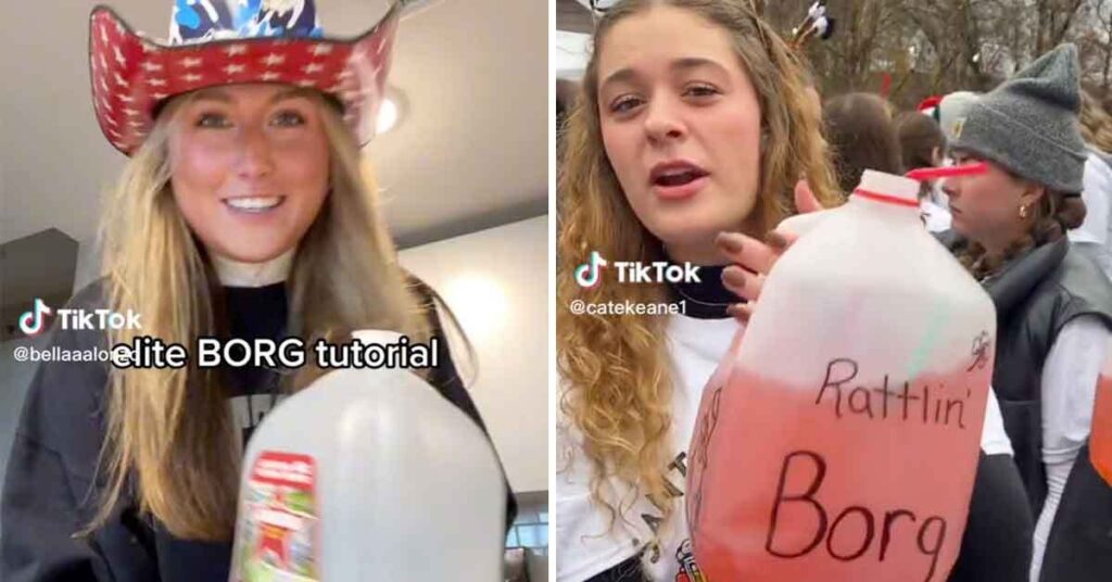 TikTok Borg Trendi (Akımı) Nedir?, Nasıl Yapılır? 2023