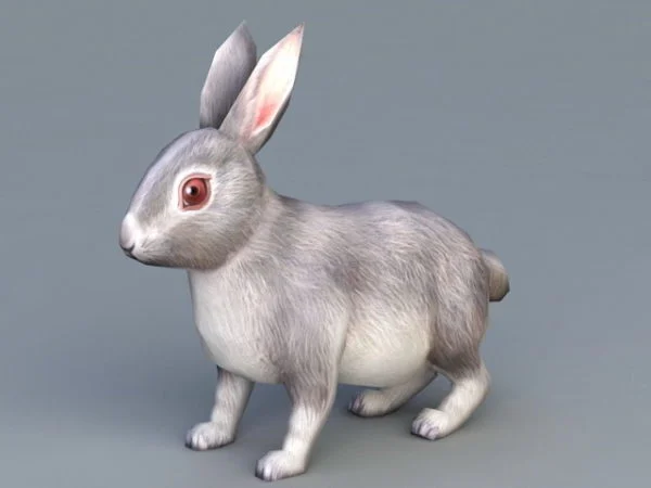 Tavşan 3D Modeli Google Görüntüle ve Göster (2023)