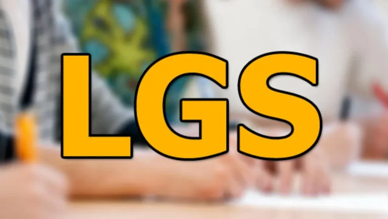 LGS Salon Görevlisi Ne Demek? (2023)