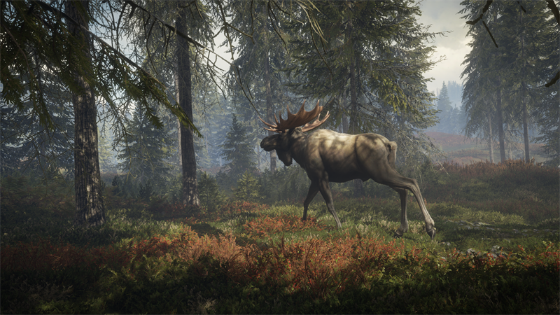 The Hunter Call of The Wild (Epic Games) Türkçe Yama İndir - 2023