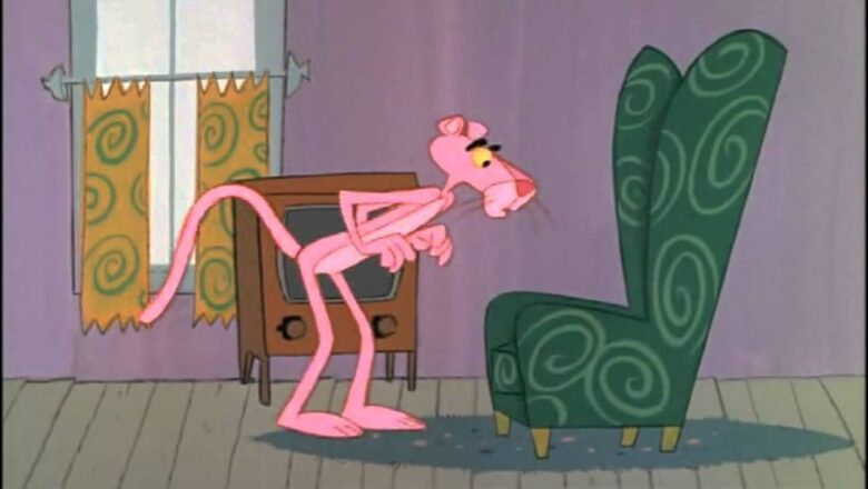 Pembe Panter “Ayşe Bolhatoğlu” Kimdir? (İzle)