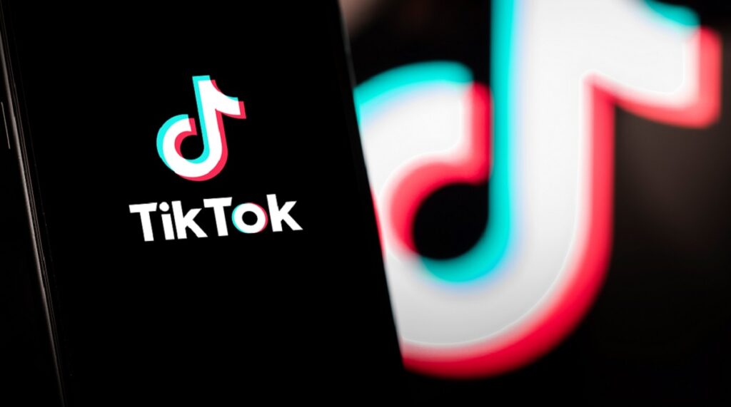 Talha Şengül Kimdir? TikTok Hesabı Profili ve Videoları