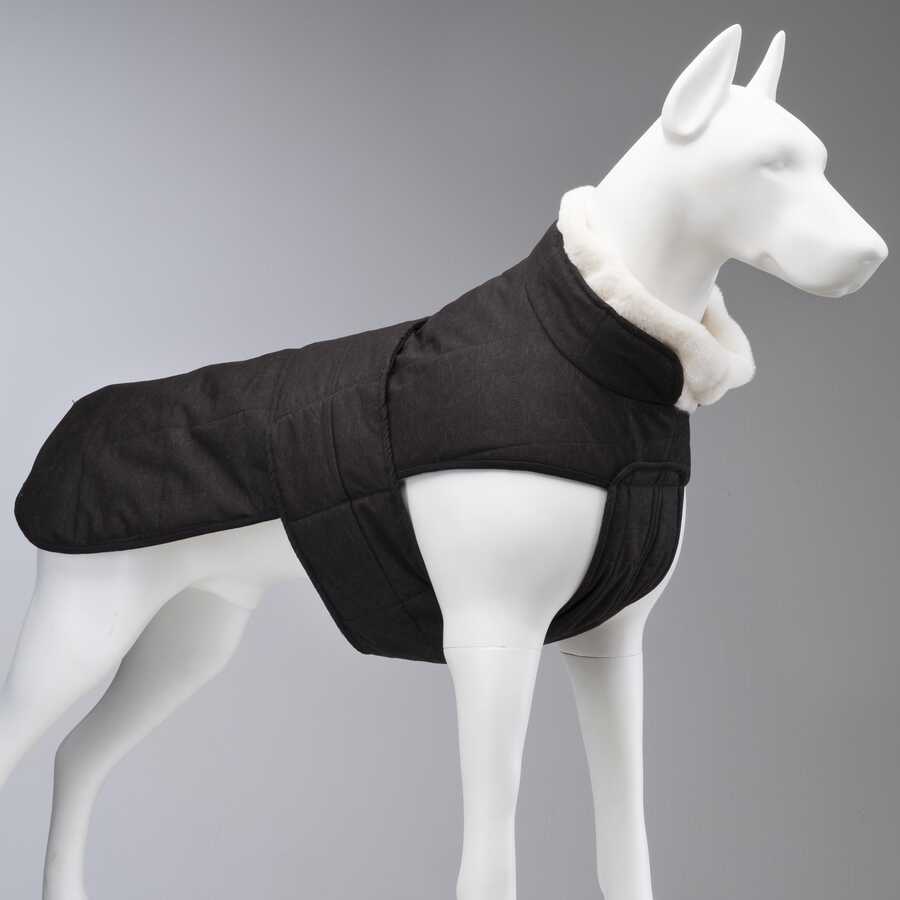 A101 Köpek Montu Fiyatları ve Yorumları - 2023