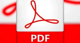 Kardeşini Doğurmak Kitabı Oku ve PDF İndir Nasıl Yapılır?