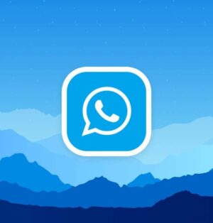 Bitrom WhatsApp Nedir? Nasıl Kullanılır?